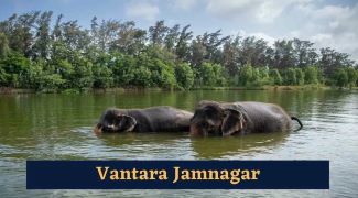 Wildlife Conservation Initiative Vantara Announces Establishment of ‘Vantara University’ in Jamnagar, Gujarat